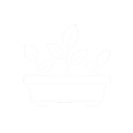 Icone Vegetalisation Aroka